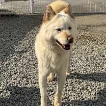 Thumbnail photo of Samuel #3