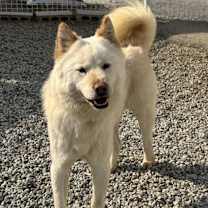 Thumbnail photo of Samuel #4