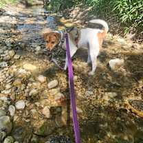 Thumbnail photo of Flynn #3