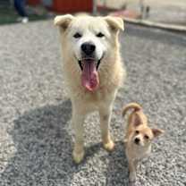 Thumbnail photo of Cloud #1