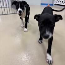 Thumbnail photo of Faith #4