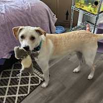 Thumbnail photo of Mickey #1