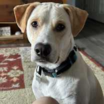 Thumbnail photo of Mickey #3