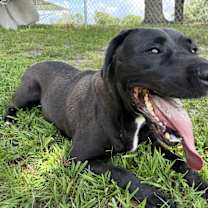 Thumbnail photo of Ben #2