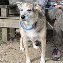 Thumbnail photo of Turk #3