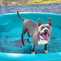 Thumbnail photo of Athena #1