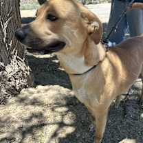 Thumbnail photo of THELMA #2