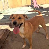 Thumbnail photo of THELMA #3