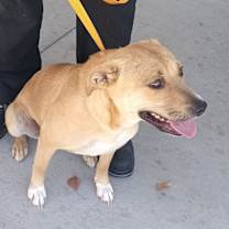 Thumbnail photo of THELMA #4