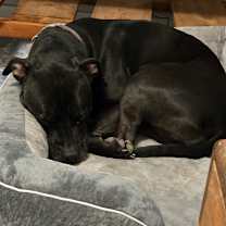 Thumbnail photo of Shadow #3