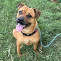 Thumbnail photo of Gracious Pink #1