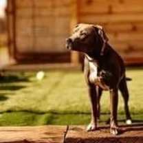 Thumbnail photo of Mars #3