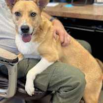 Thumbnail photo of Jessa #1