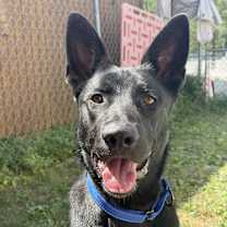 Thumbnail photo of Finn #1