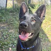 Thumbnail photo of Finn #4