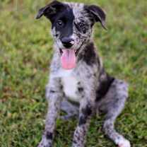 Thumbnail photo of Waverly #3