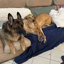 Thumbnail photo of Wish #3