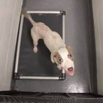 Thumbnail photo of Harold #2