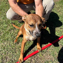 Thumbnail photo of Zeus #2