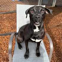 Thumbnail photo of Dot Dot #2