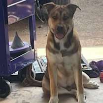 Thumbnail photo of Russel  #2