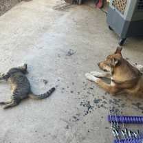 Thumbnail photo of Russel  #3