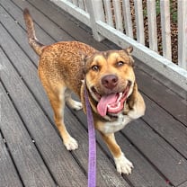 Thumbnail photo of Russel  #4