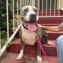 Thumbnail photo of Bella #1