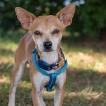 Thumbnail photo of Jean & Eugene #2