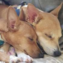 Thumbnail photo of Jean & Eugene #4