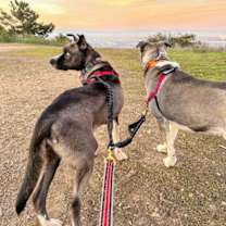 Thumbnail photo of Ellie #2