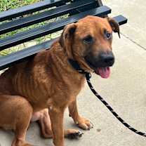 Thumbnail photo of Jaxon #2