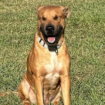 Thumbnail photo of Jaxon #4