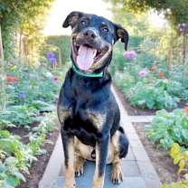 Thumbnail photo of CASH #1