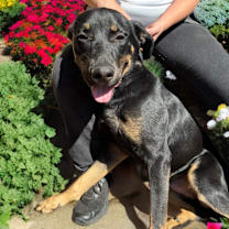 Thumbnail photo of CASH #3