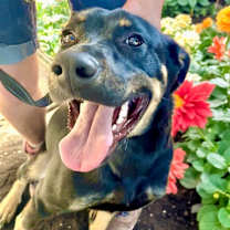 Thumbnail photo of CASH #4