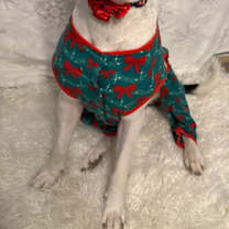 Thumbnail photo of Stewart #1