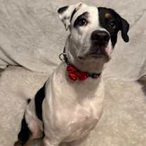 Thumbnail photo of Stewart #3