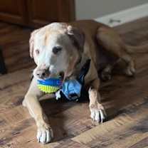 Thumbnail photo of Charlamagne #3