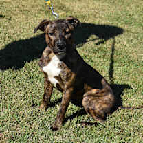 Thumbnail photo of Drew #4