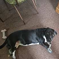 Thumbnail photo of harieth #3