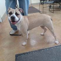 Thumbnail photo of Lilo #2