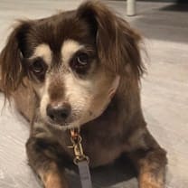 Thumbnail photo of Bea Arthur #3