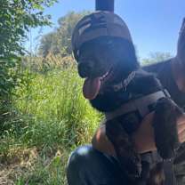 Thumbnail photo of Bluey #2