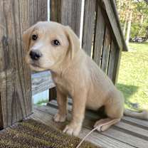 Thumbnail photo of Trick #3