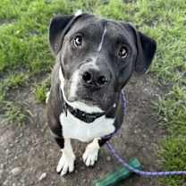 Thumbnail photo of Jamel #2