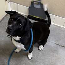 Thumbnail photo of Jamel #3