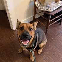 Thumbnail photo of Jax #2