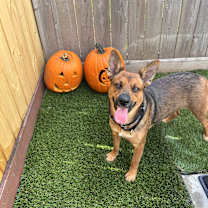 Thumbnail photo of Jax #3