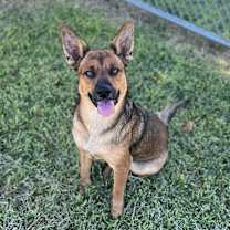 Thumbnail photo of Jax #4